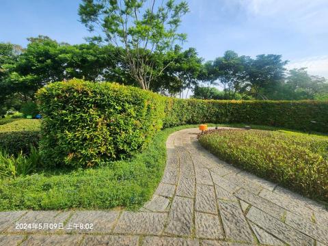 張凱翔 - 綠籬修剪維護