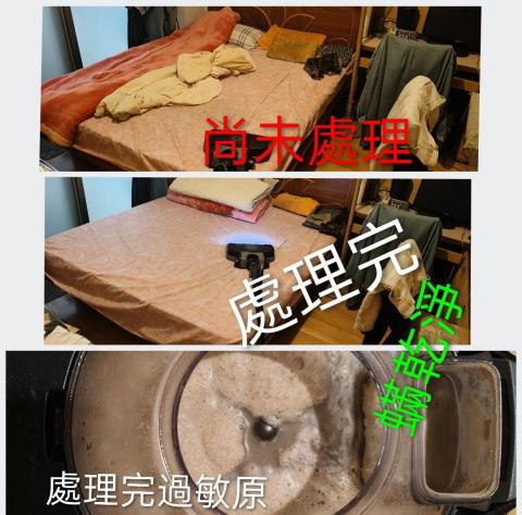 蟎乾淨-國際過敏認證有效移除過敏源 - 