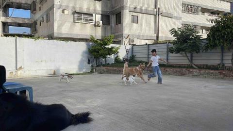 犬極屋 - 寵物住宿放風玩樂