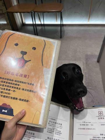 波爸的家 - 一起去吃燒烤