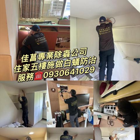 提供白蟻服務的專家佳菖除蟲企業有限公司