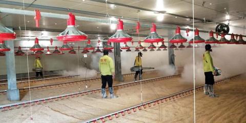 環譽有限公司 - 雞舍消毒