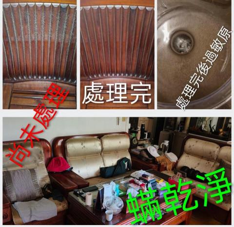 蟎乾淨-國際過敏認證有效移除過敏源 - 