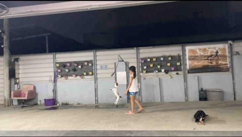 犬極屋 - 住宿日常