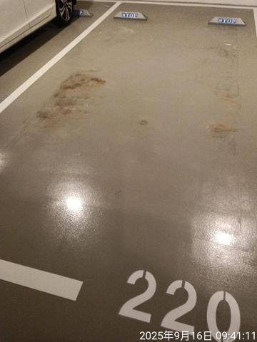 家傑專業清潔 -  家傑專業清潔 -