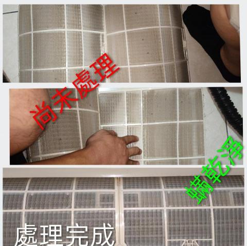 蟎乾淨-國際過敏認證有效移除過敏源 - 