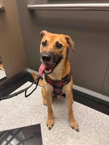 陳靖蕙 - 中秋雙十的連假服務可頌：頑皮活潑的小孩