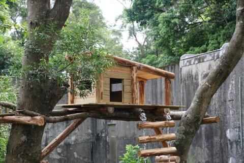 劉適仲 - 圓杉木製作成的小木屋，也依據展場樹木設定平台位置，提供 更多的垂直利用空間也提升遊客面的動物觀賞性!
