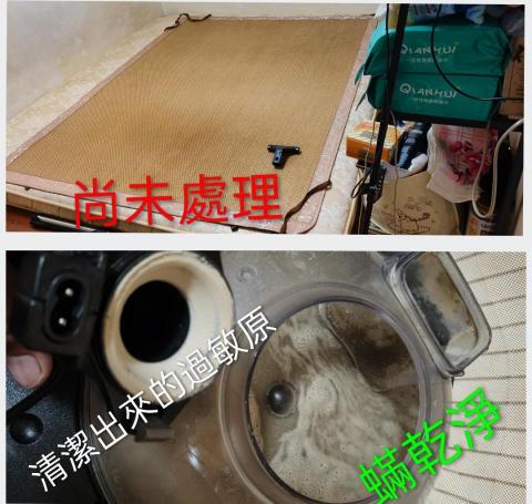 蟎乾淨-國際過敏認證有效移除過敏源 - 