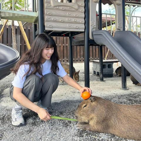 提供erpsap分別服務的專家吳雨瑾