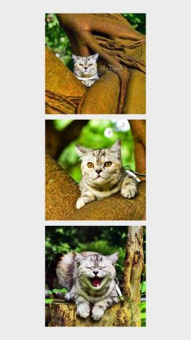 游牧時光 - 可愛的金秘書~