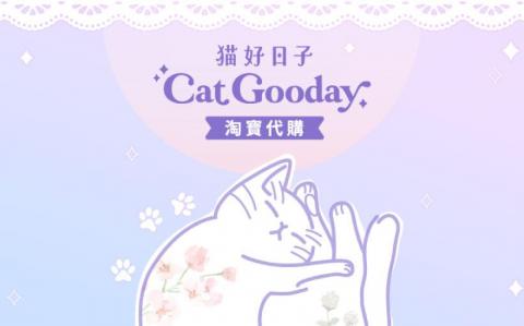 Mollie Lyu - 品牌CIS設計 (1)