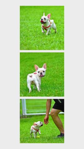 游牧時光 - 可愛的饅頭~