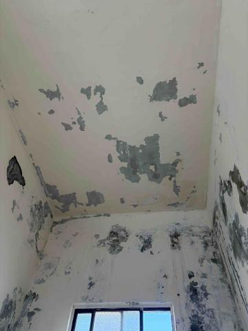 Samlee - 壁癌處理前