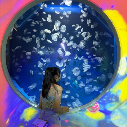 提供美髮剪刀服務的專家雯靖