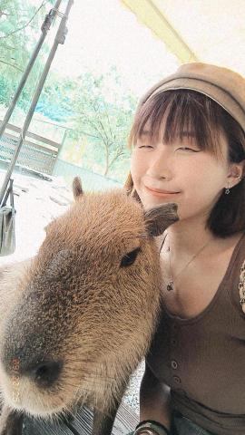 提供寵物散步服務的專家邱思綺