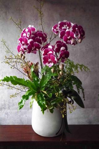 JCflower崨希花藝工作室 - 蘭花盆栽設計(開幕、榮升、祝賀) JCflower崨希花藝工作室 - 蘭花盆栽設計(開幕、榮升、祝賀)
