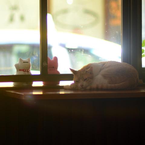 彰化基本電學家教推薦呂韋勳 彰化基本電學家教推薦呂韋勳