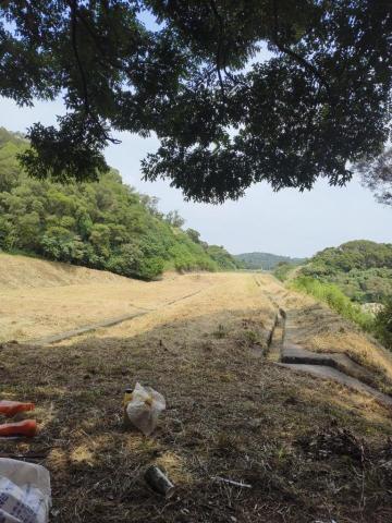 提供除草服務的專家阿菈斯除草班
