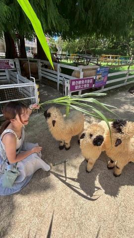 邱思綺 - 去農場
