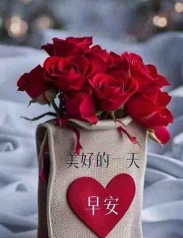 提供大安區服務的專家到府保母小林