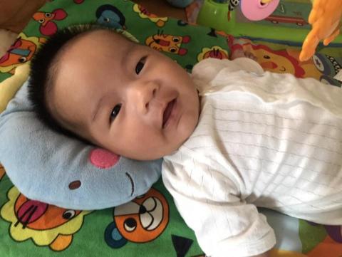 于森園藝企業社 （林先生） - 