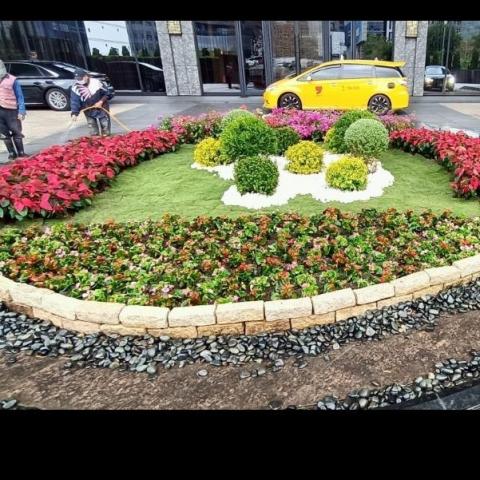 提供割草服務的專家杉籐園藝