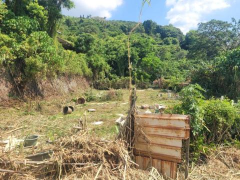 于森園藝企業社 （林先生） - 