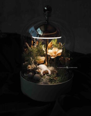 JCflower崨希花藝工作室 - 森林夜燈客製化設計 JCflower崨希花藝工作室 - 森林夜燈客製化設計