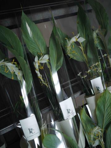 JCflower崨希花藝工作室 - 單支花束(舞姜花) JCflower崨希花藝工作室 - 單支花束(舞姜花)