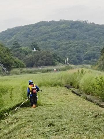 阿菈斯除草班 - 