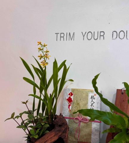 JCflower崨希花藝工作室 - 店家植物定期更換 JCflower崨希花藝工作室 - 店家植物定期更換