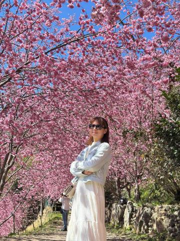 西屯寵物接送司機推薦洪婉瑜