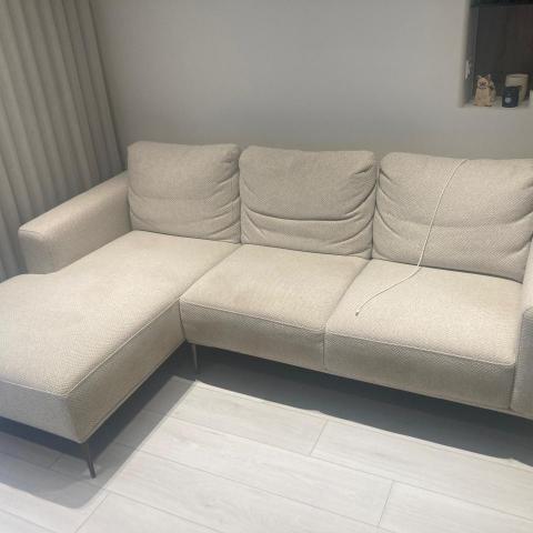 提供除蟎服務的專家潔新沙發清潔