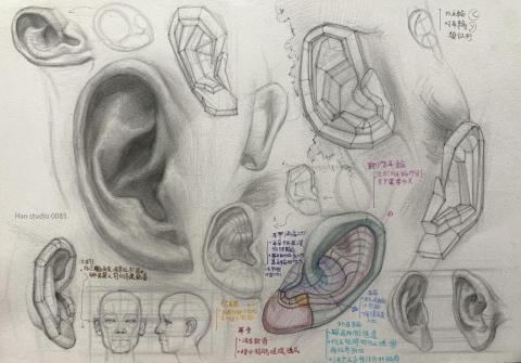 Han studio  邱柏翰 - 為什麼畫人像時，耳朵總是怪怪的？

這堂課從「塊面、角度與結構」重新拆解耳朵，讓你看懂這個常被忽略部位！

從耳朵開始，練出真正的五官空間邏輯！

歡迎私訊詢問上課方式，適合零基礎或自學中遇到瓶頸的學員。