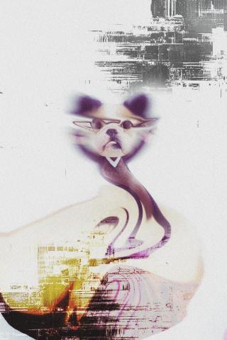 提供藝術照服務的專家華逸