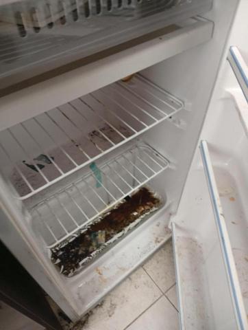 大樹個人清潔 - 冰箱長垢+長霉