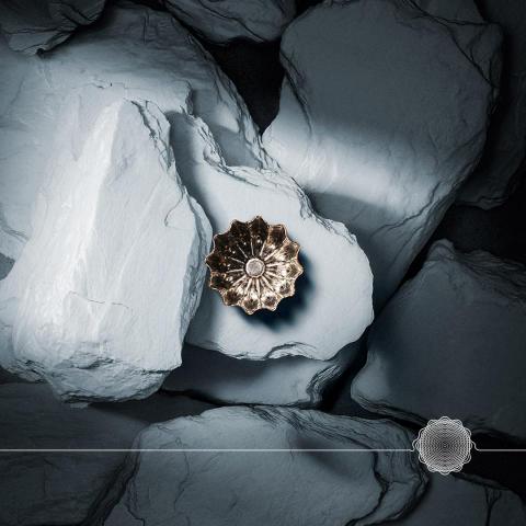 睿奇設計顧問 - 