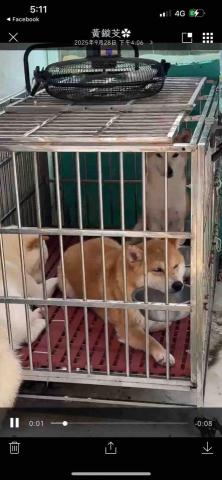 提供補土粉服務的專家祥億工程行