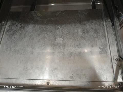 大樹個人清潔 - 