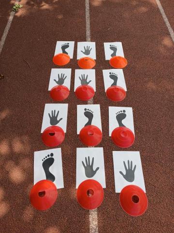 陳揚 - 視覺提示 陳揚 - 視覺提示