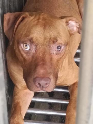 提供pro360達人服務的專家戎璿宥