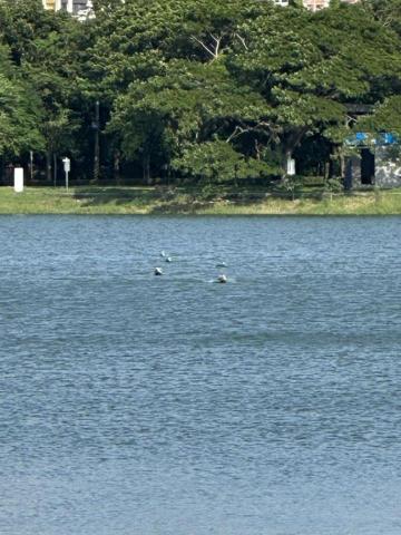 洪偉程 - 正在列隊中的無人載具