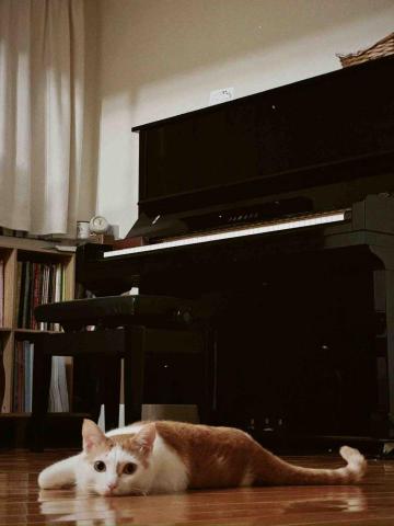 宋老師音樂課 ♪ - 