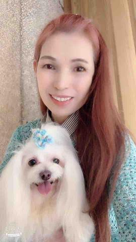 黃芷穎 - 我與寶貝狗的生活