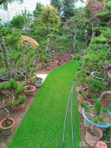 小松園藝吳明典 -  小松園藝吳明典 -