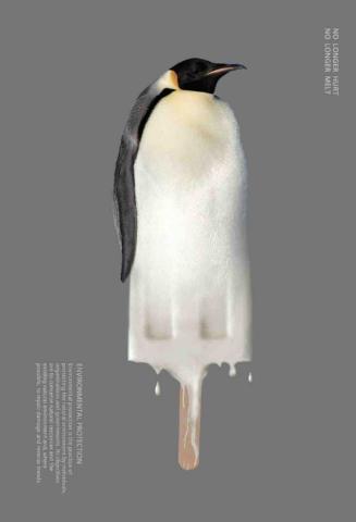 卡米諾Camizo - 影像處理、海報設計