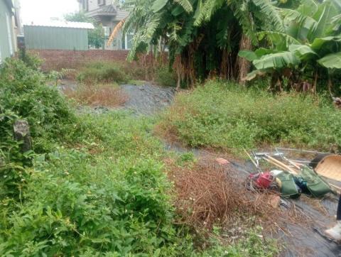 王東明 - 山上區空地整理前