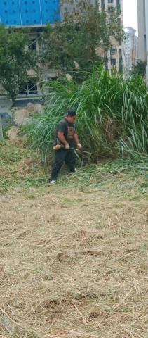 小松園藝吳明典 -  小松園藝吳明典 -