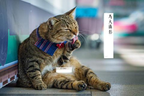 馬大攝影 - 